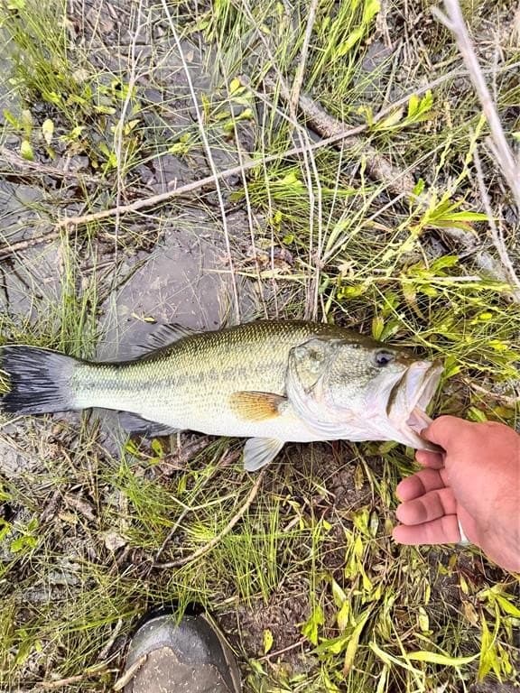 58.39 acres in Johnson County gallery image 4