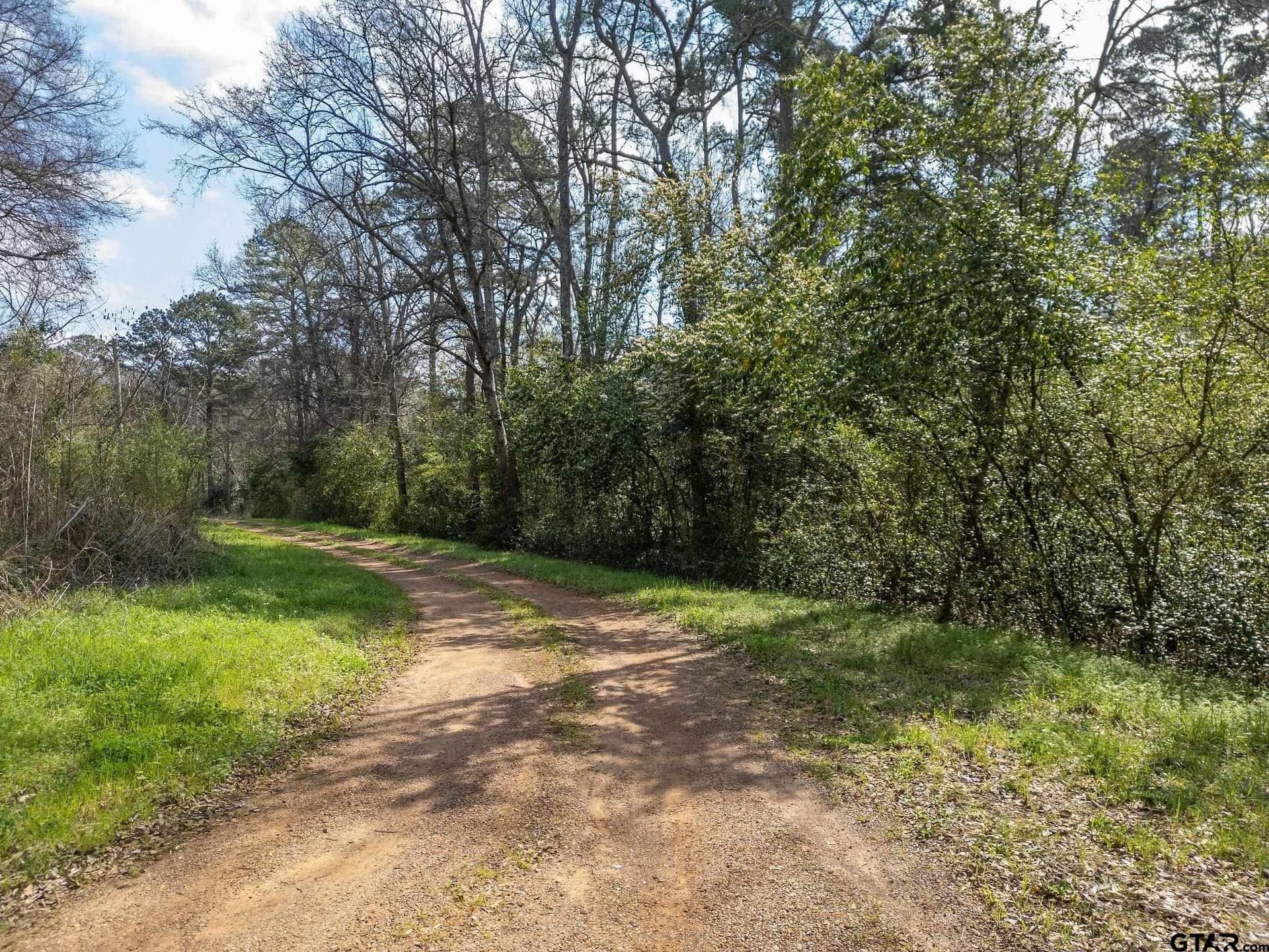 2.56 acres in Morris County - photo 6