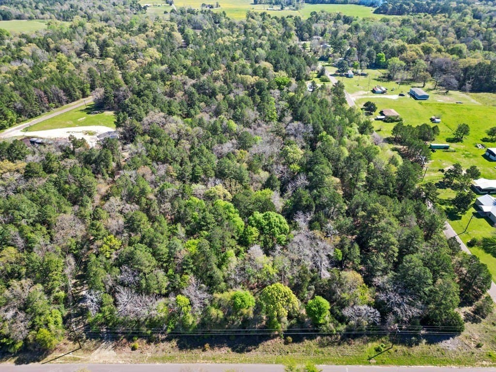 31.5 acres in ANDERSON County gallery image 4