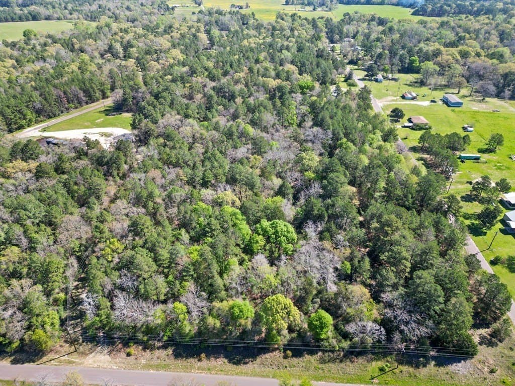 31.5 acres in ANDERSON County gallery image 3