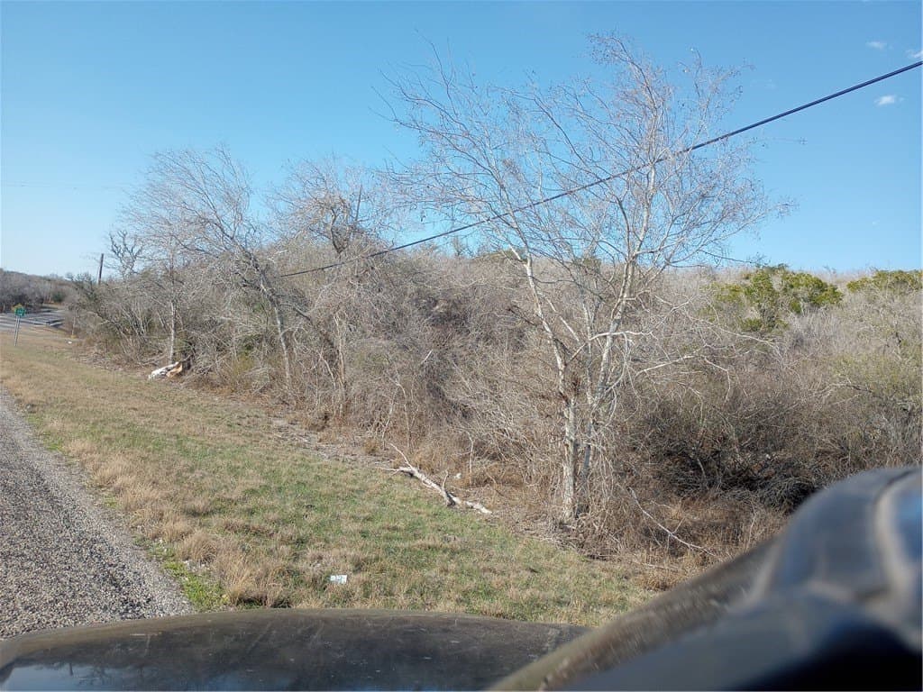 10.19 acres in Live Oak County - photo 15