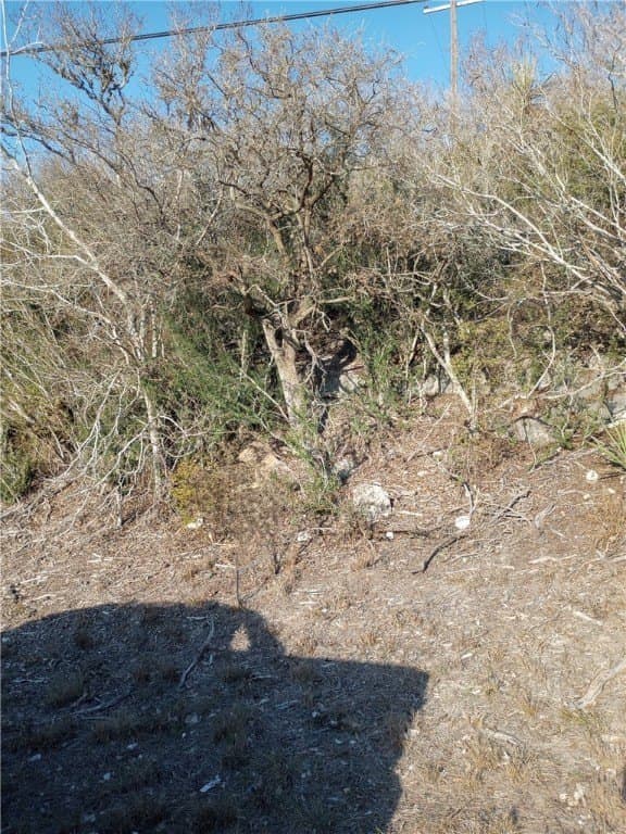 10.19 acres in Live Oak County - photo 28