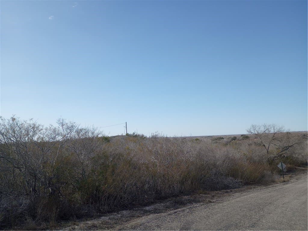 10.19 acres in Live Oak County - photo 24