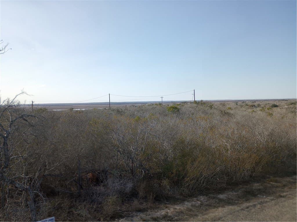 10.19 acres in Live Oak County - photo 21