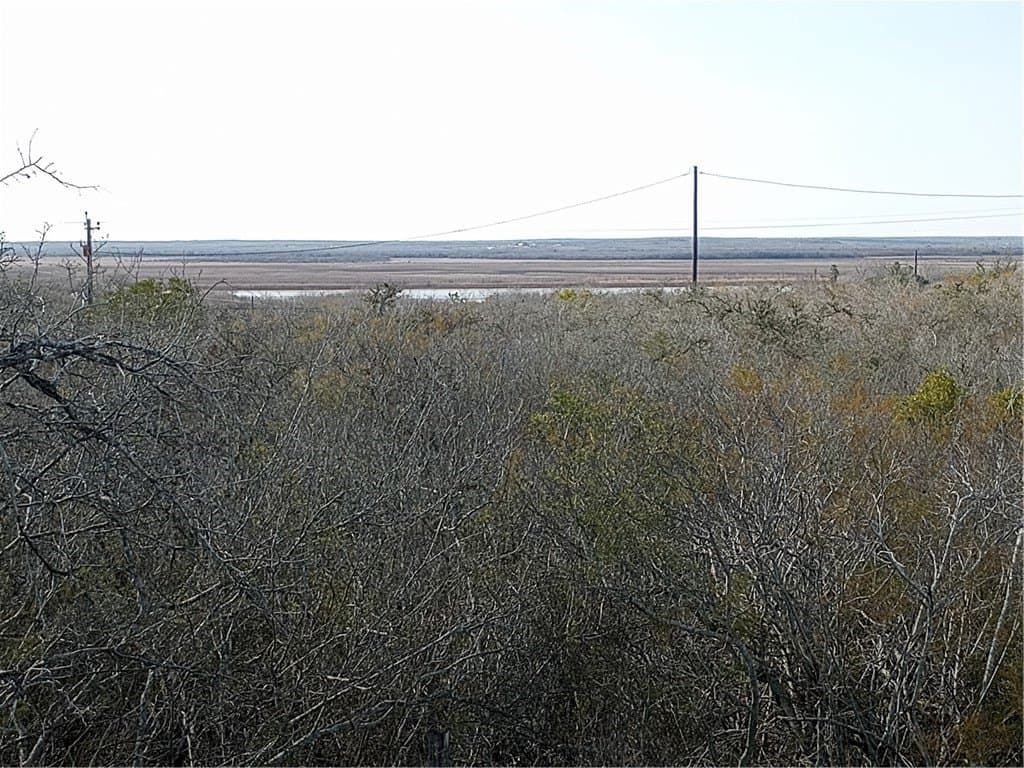 10.19 acres in Live Oak County - photo 20