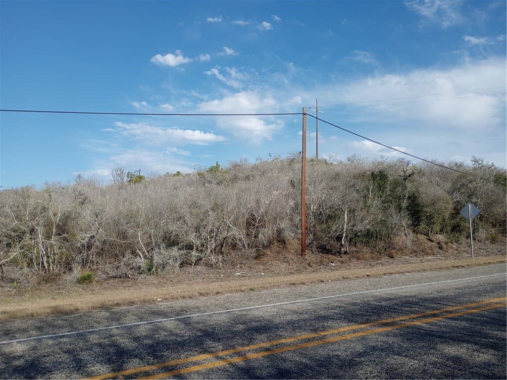 10.19 acres in Live Oak County gallery image 3
