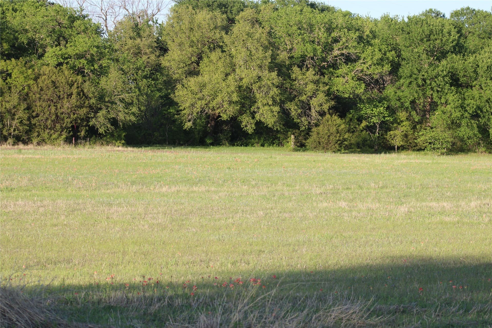 1 acres in Somervell County - photo 3