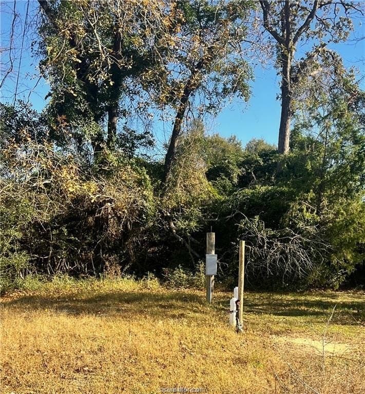 5.49 acres in Leon County - photo 17