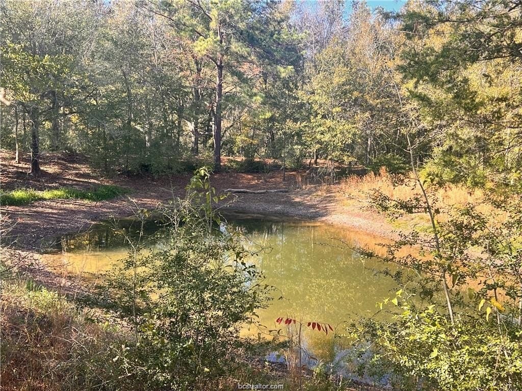 5.49 acres in Leon County - photo 6