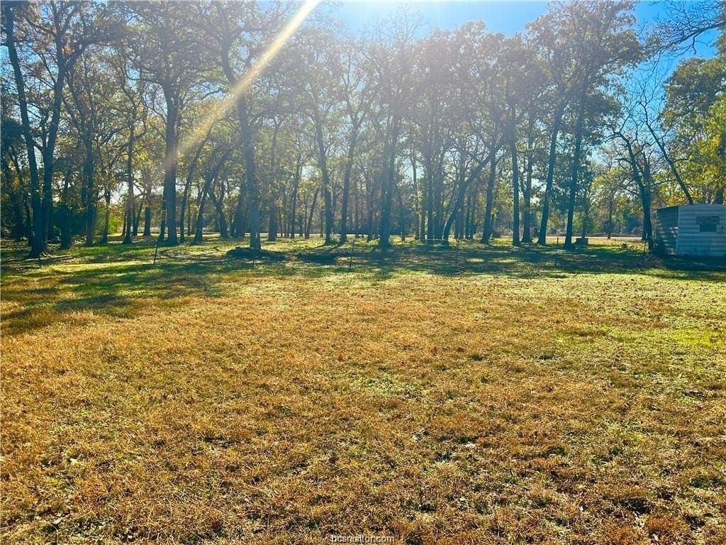 5.49 acres in Leon County - photo 7