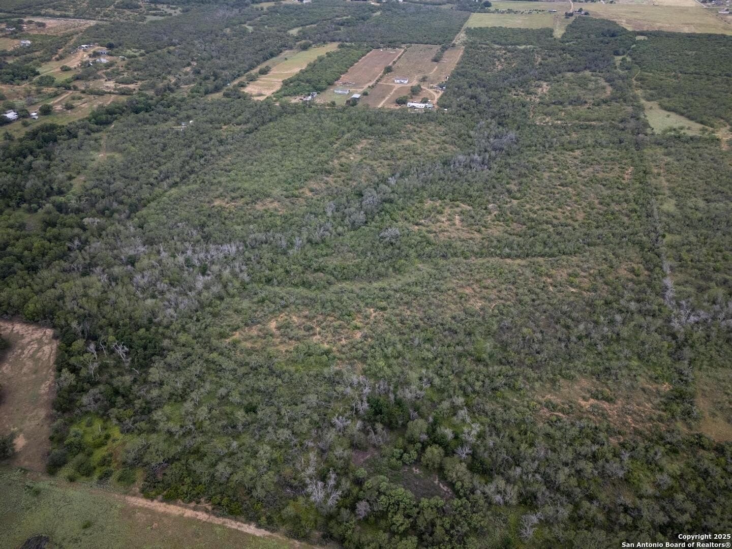 50 acres in Wilson County - photo 11