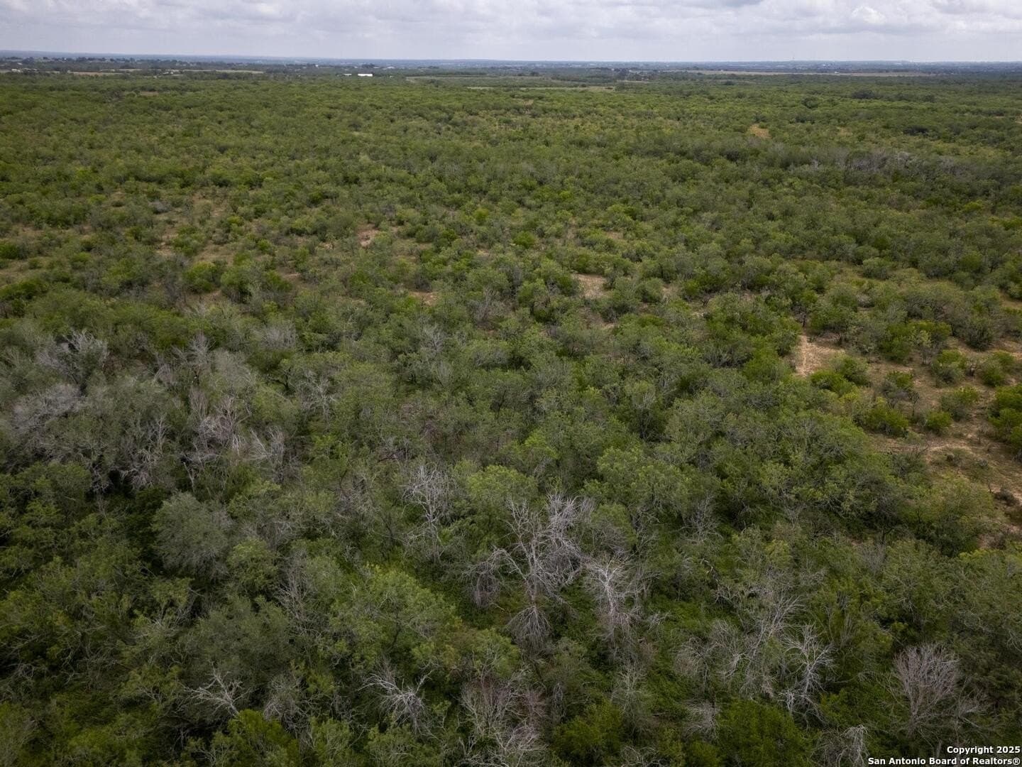 50 acres in Wilson County - photo 23