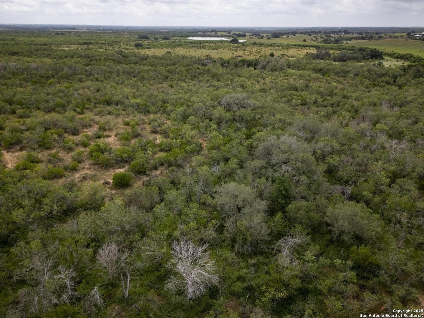 50 acres in Wilson County - photo 30