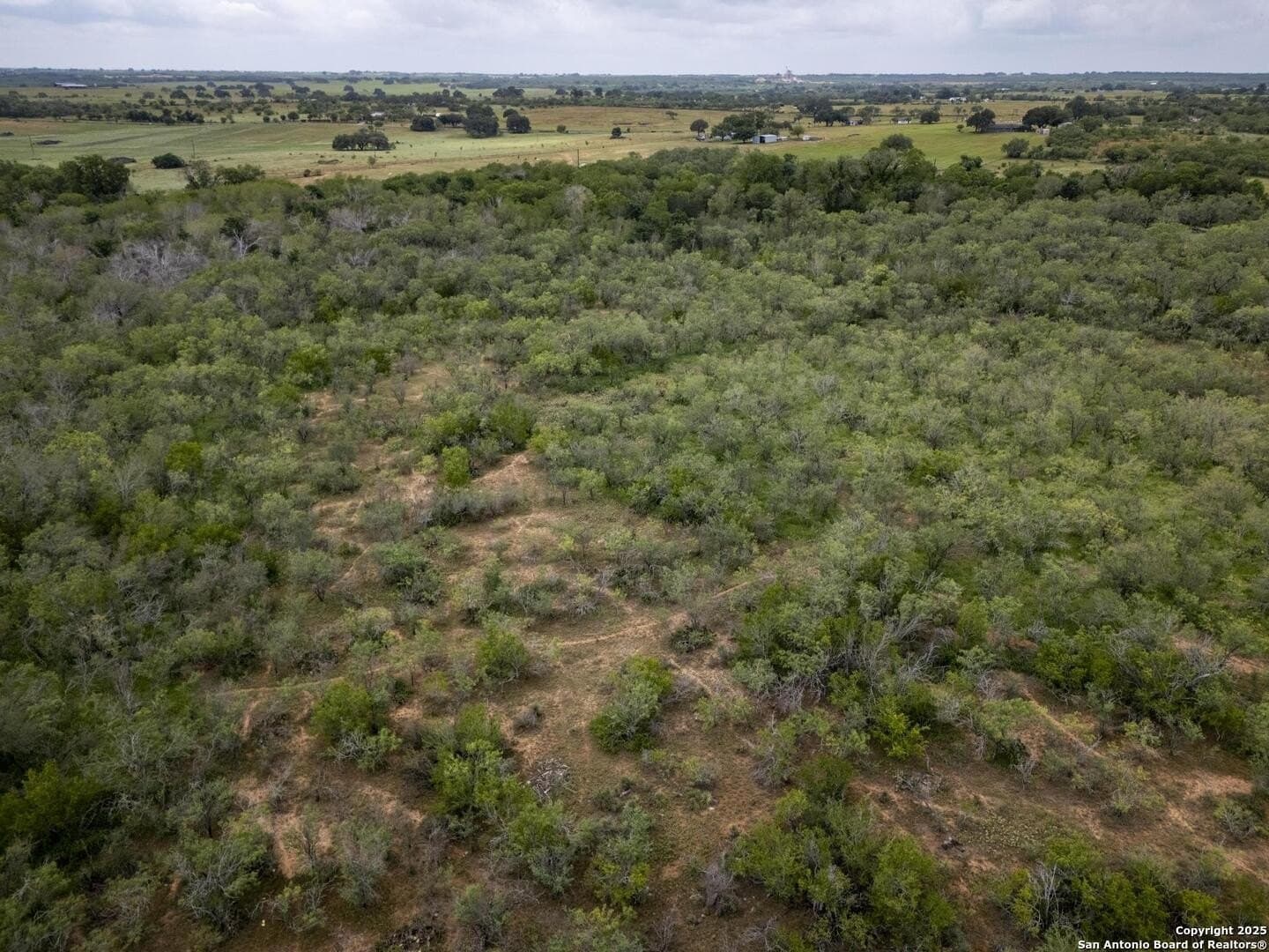 50 acres in Wilson County - photo 24