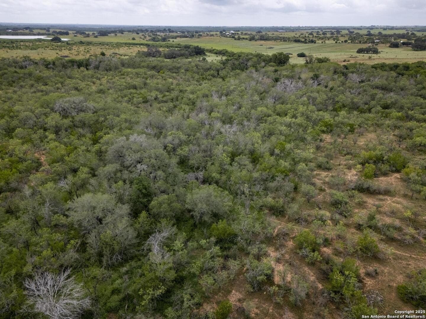 50 acres in Wilson County - photo 21