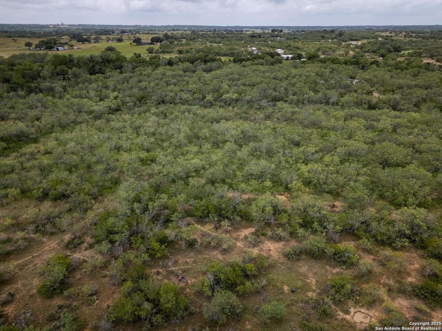 50 acres in Wilson County - photo 25
