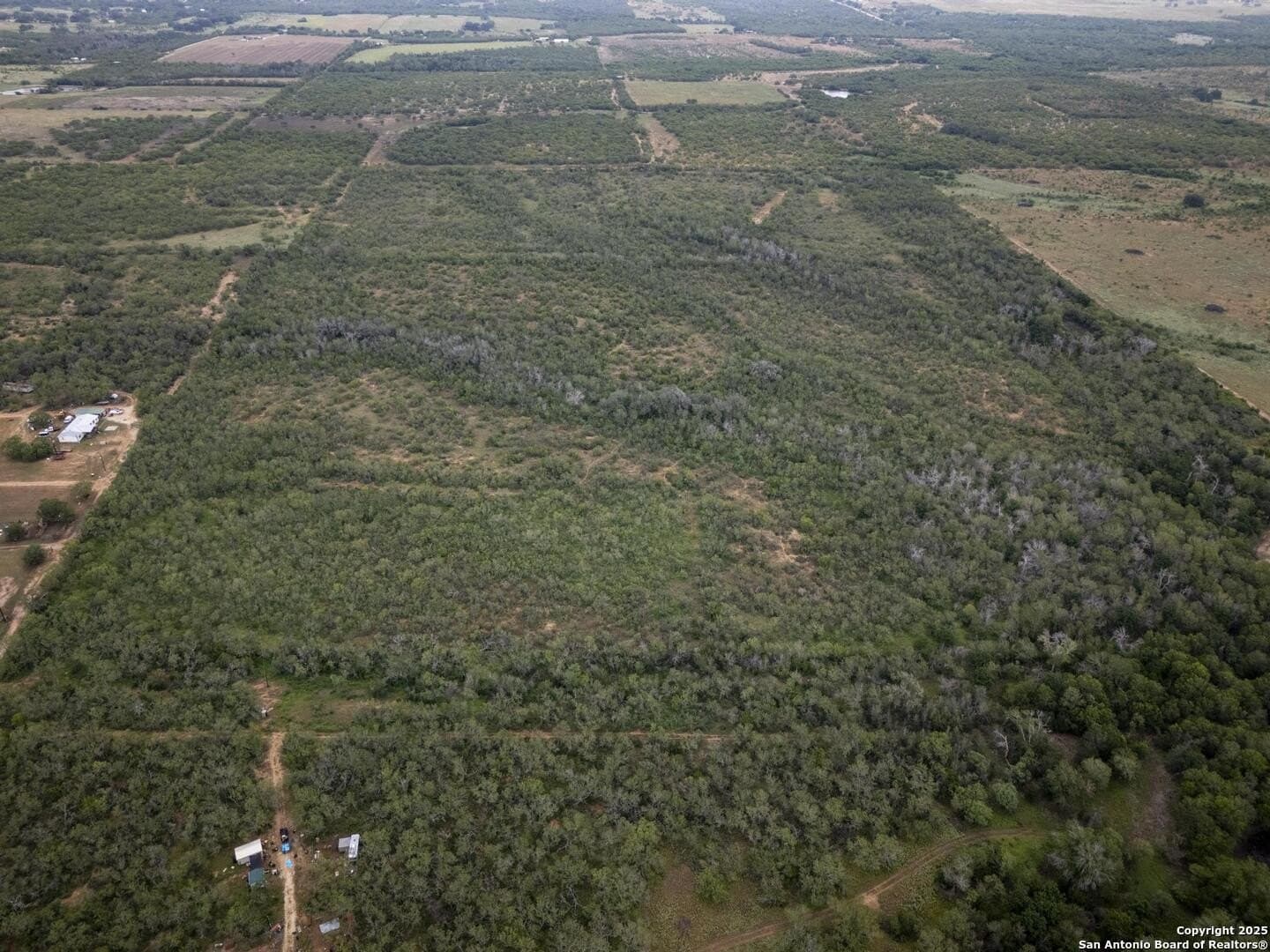 50 acres in Wilson County - photo 17