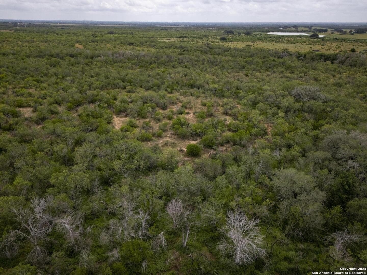 50 acres in Wilson County - photo 22