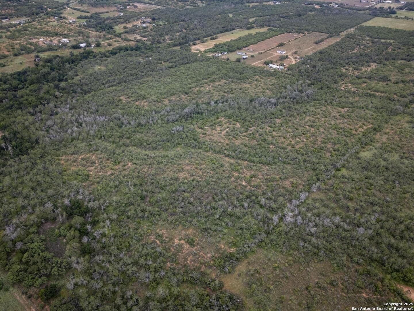 50 acres in Wilson County - photo 9