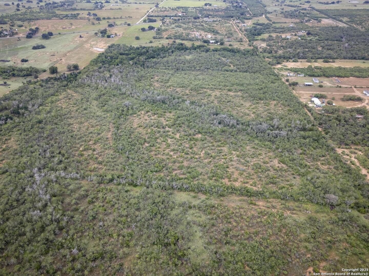 50 acres in Wilson County - photo 7