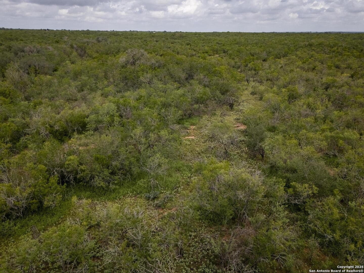 50 acres in Wilson County - photo 20