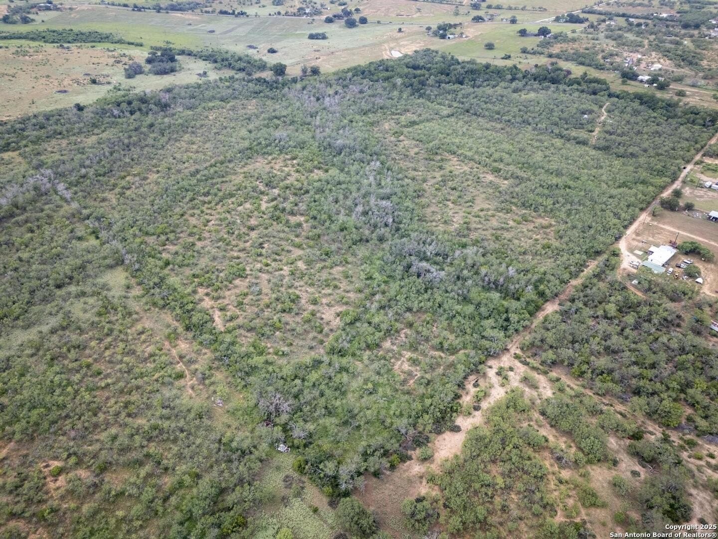 50 acres in Wilson County - photo 38
