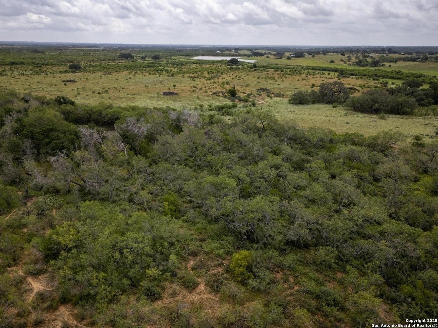 50 acres in Wilson County - photo 3