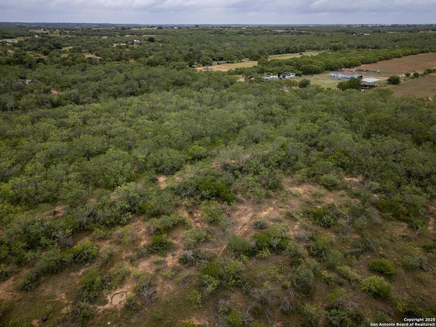 50 acres in Wilson County - photo 26