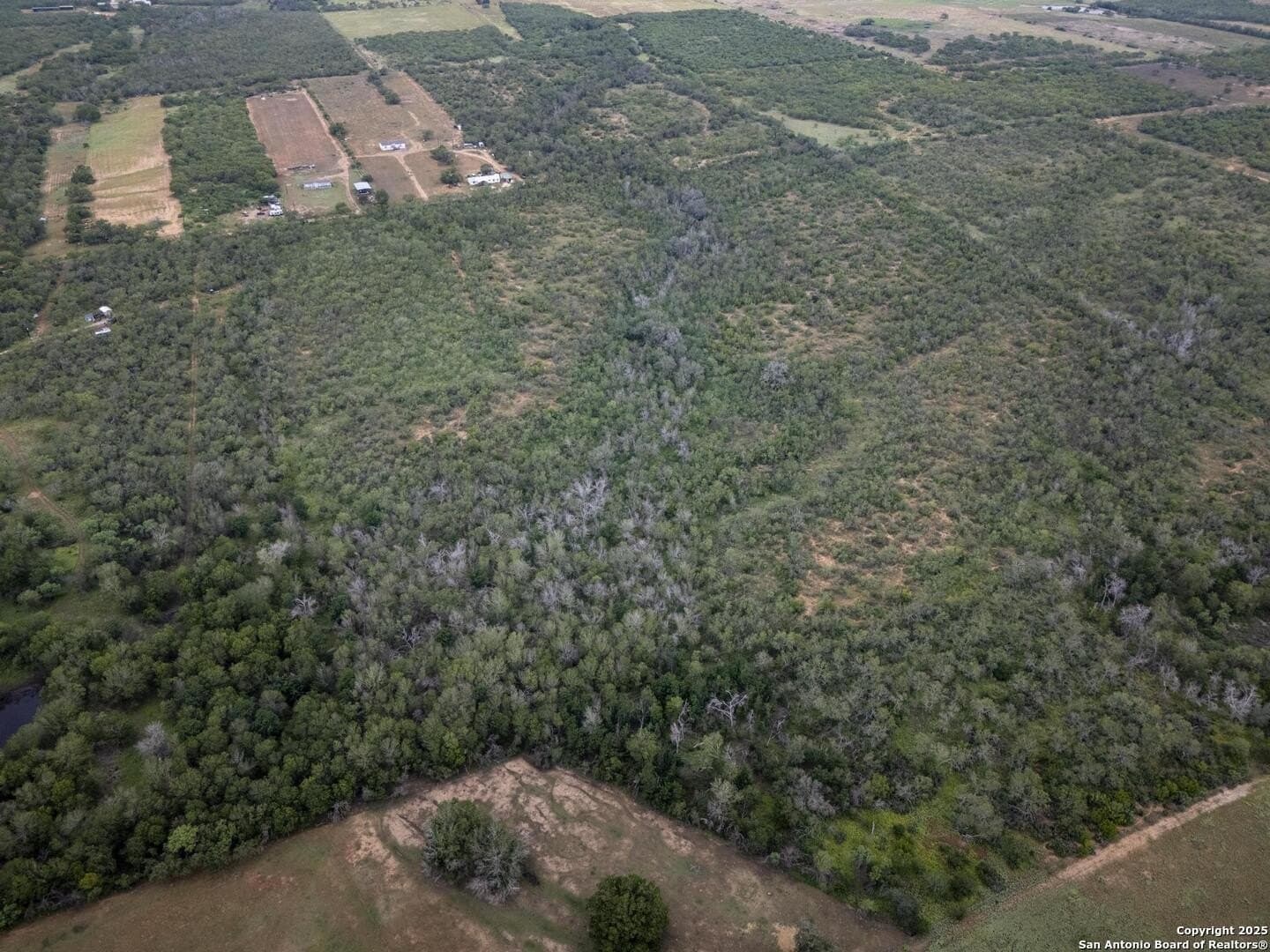 50 acres in Wilson County - photo 13