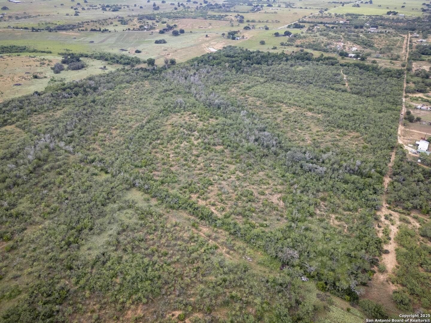 50 acres in Wilson County - photo 6