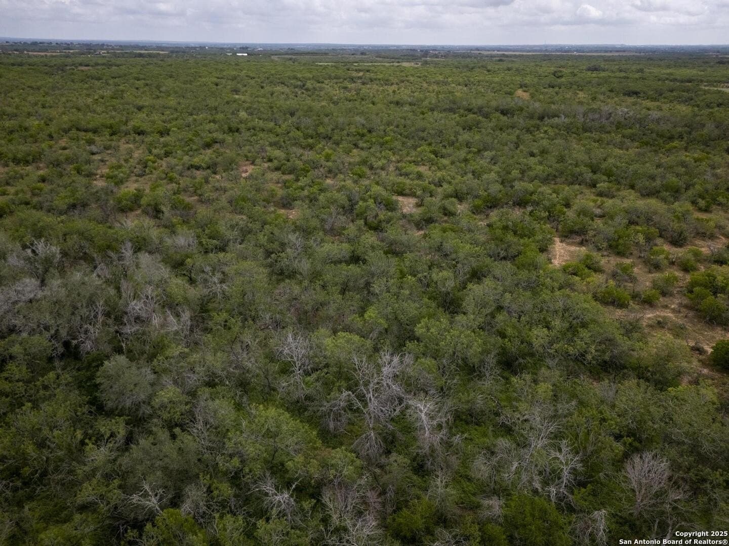 50 acres in Wilson County - photo 29