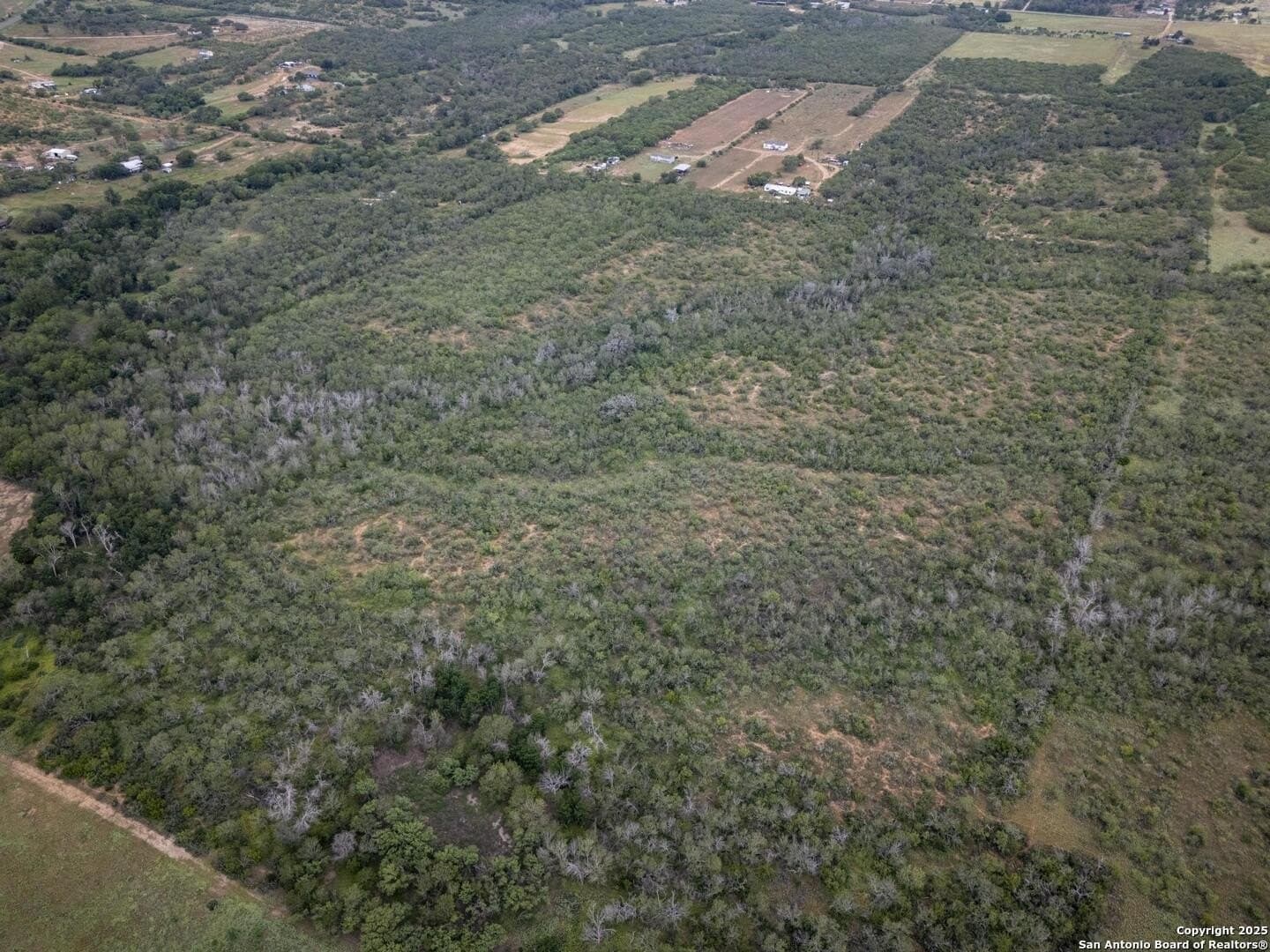 50 acres in Wilson County - photo 10