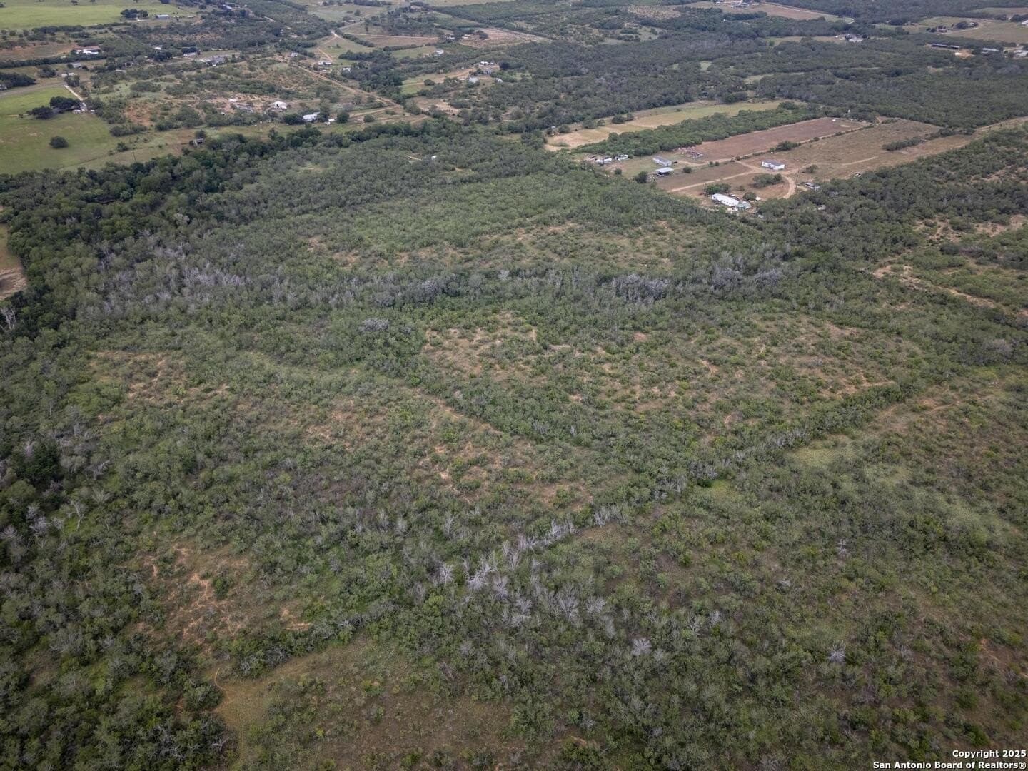 50 acres in Wilson County - photo 8
