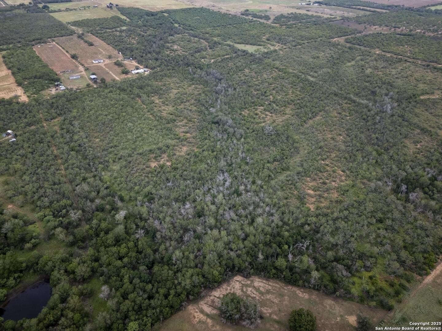 50 acres in Wilson County - photo 14