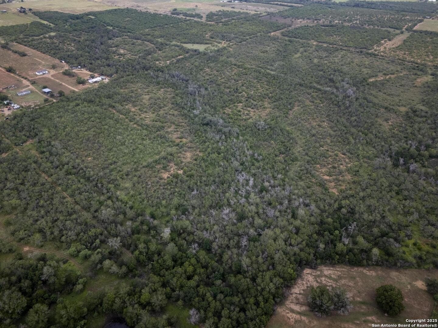50 acres in Wilson County - photo 15