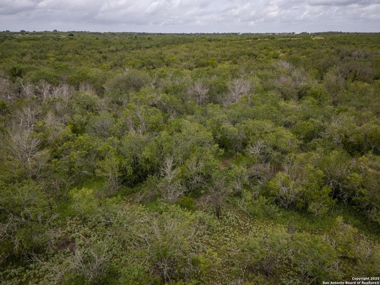 50 acres in Wilson County - photo 4