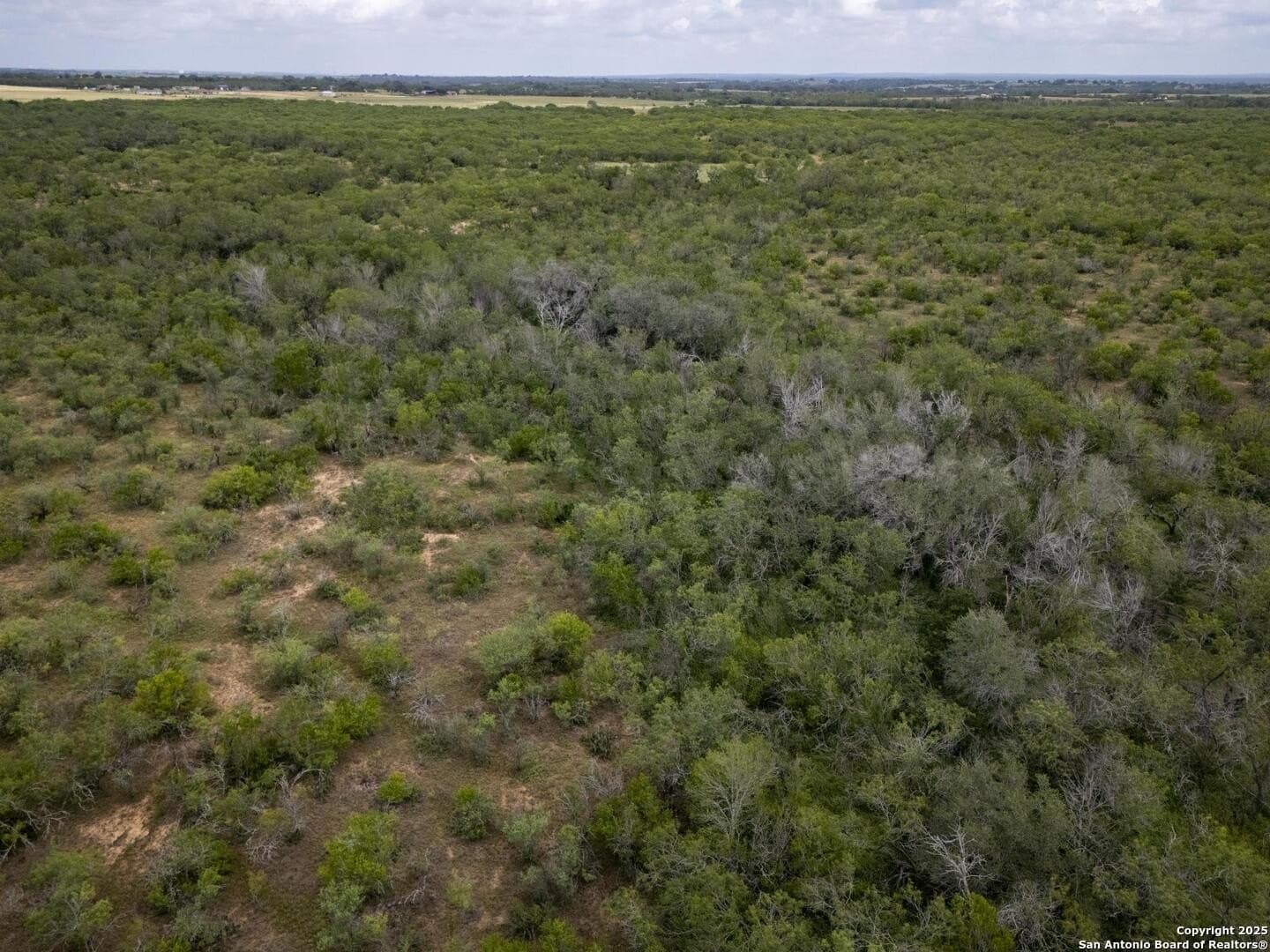 50 acres in Wilson County - photo 28