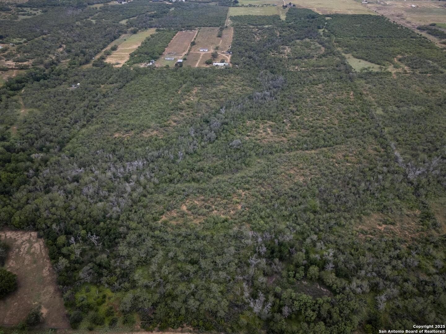 50 acres in Wilson County - photo 12