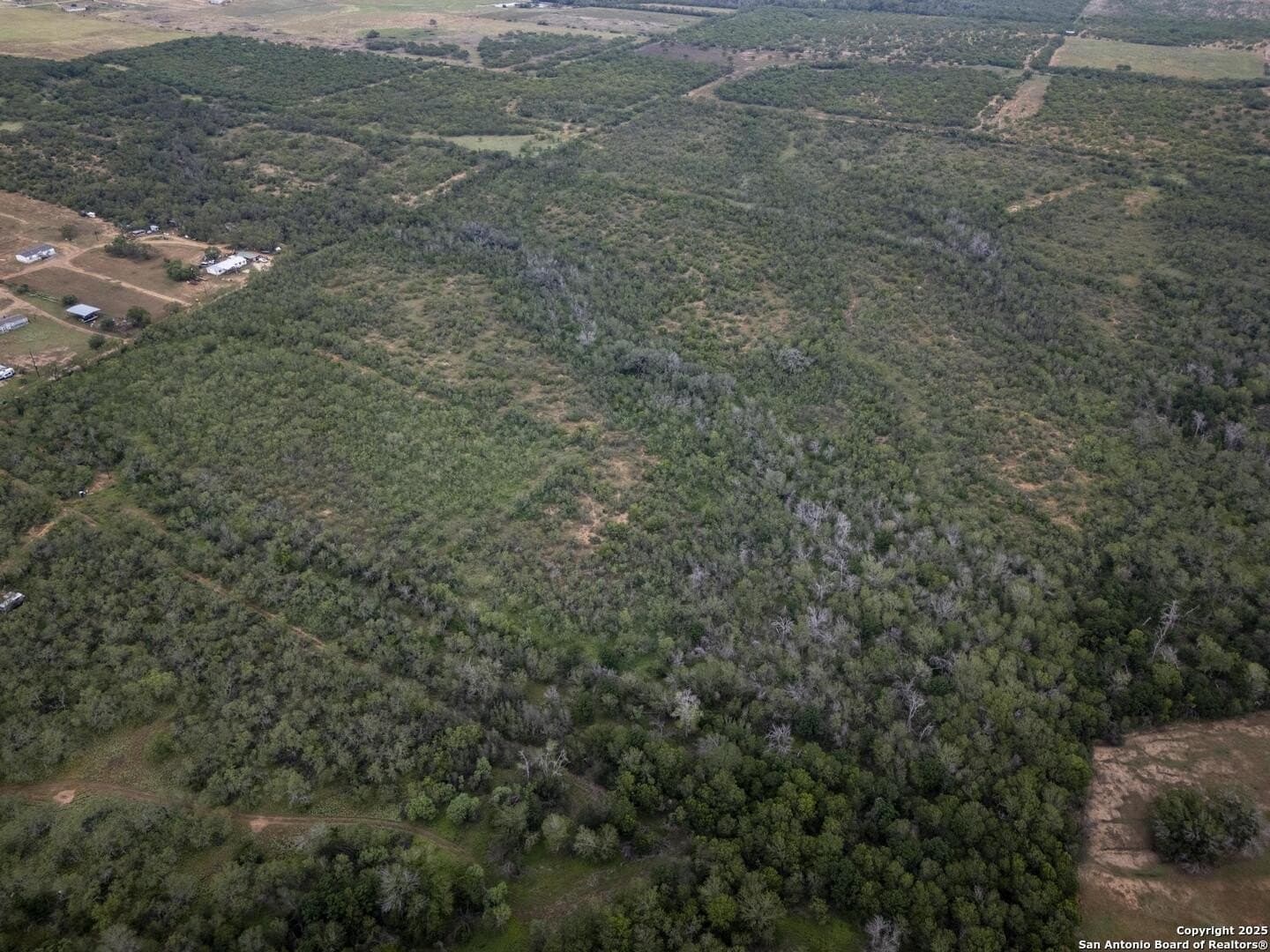 50 acres in Wilson County - photo 16