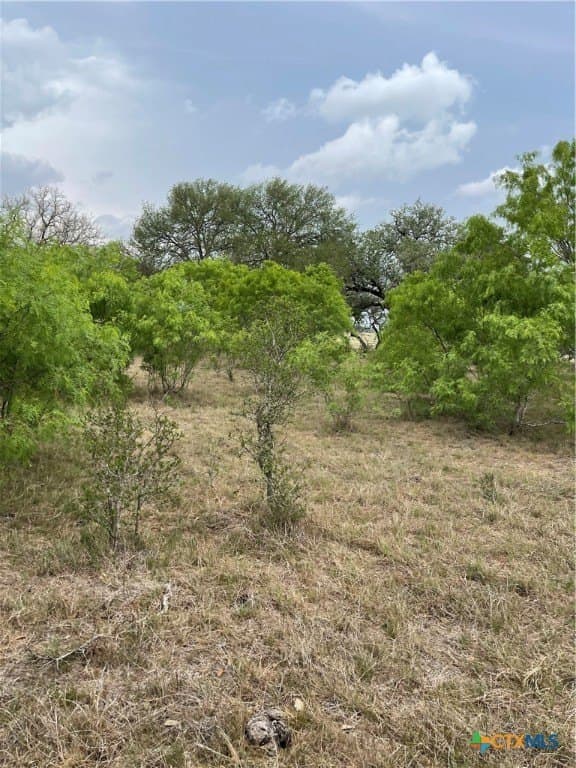 12.9 acres in Guadalupe County gallery image 2