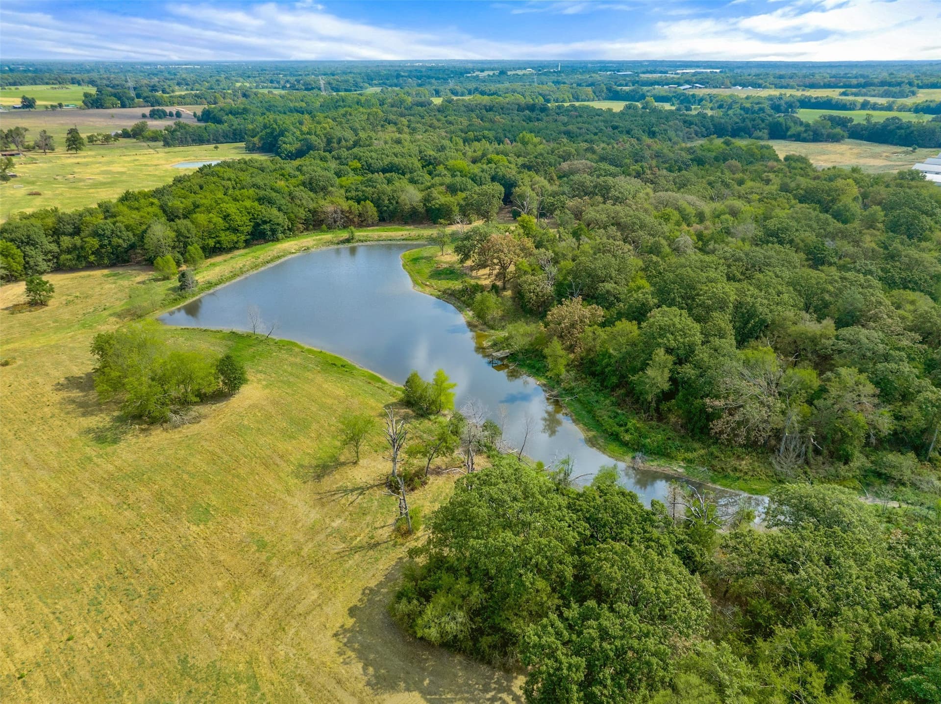 29.3 acres in Hopkins County - photo 5