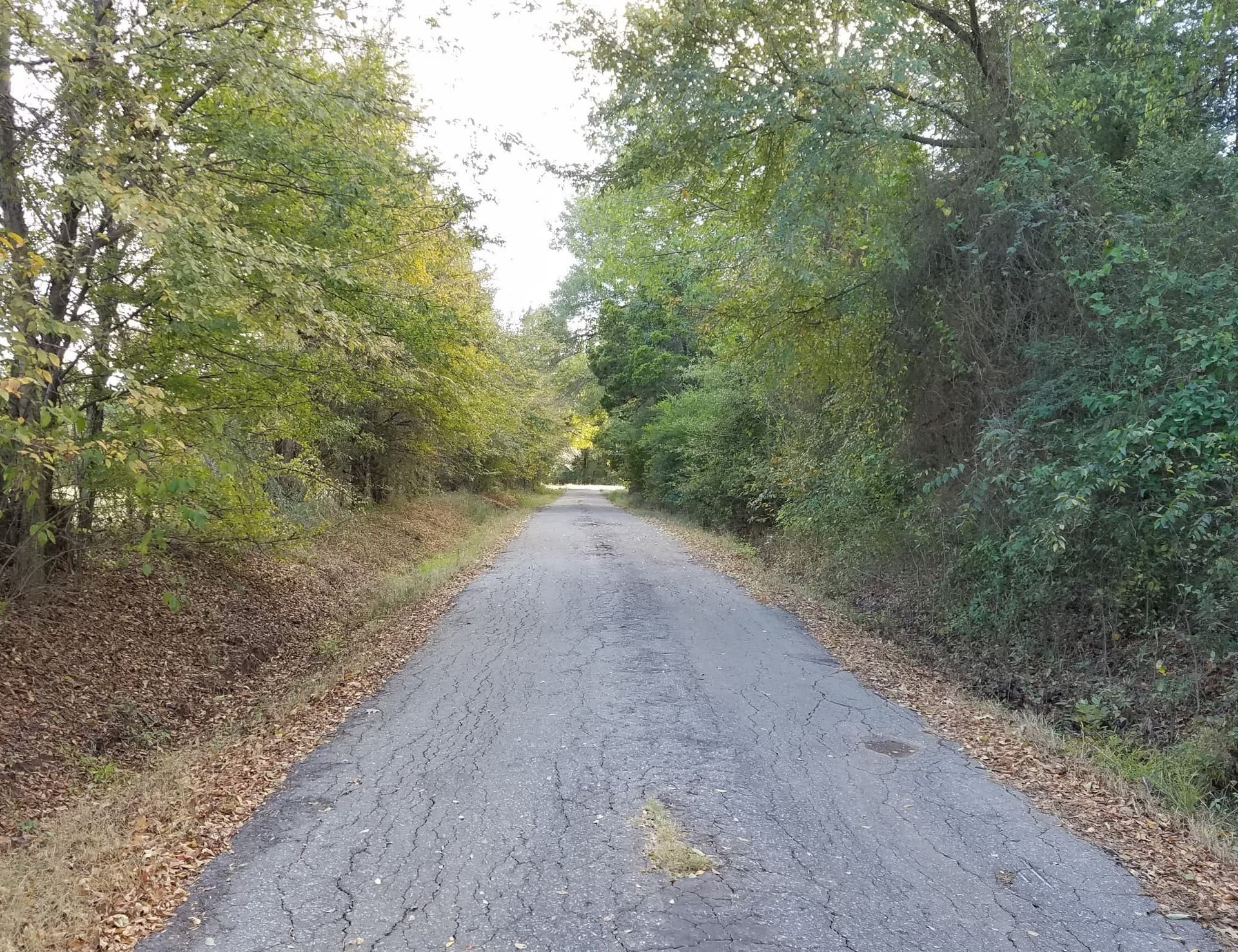 29.3 acres in Hopkins County - photo 21