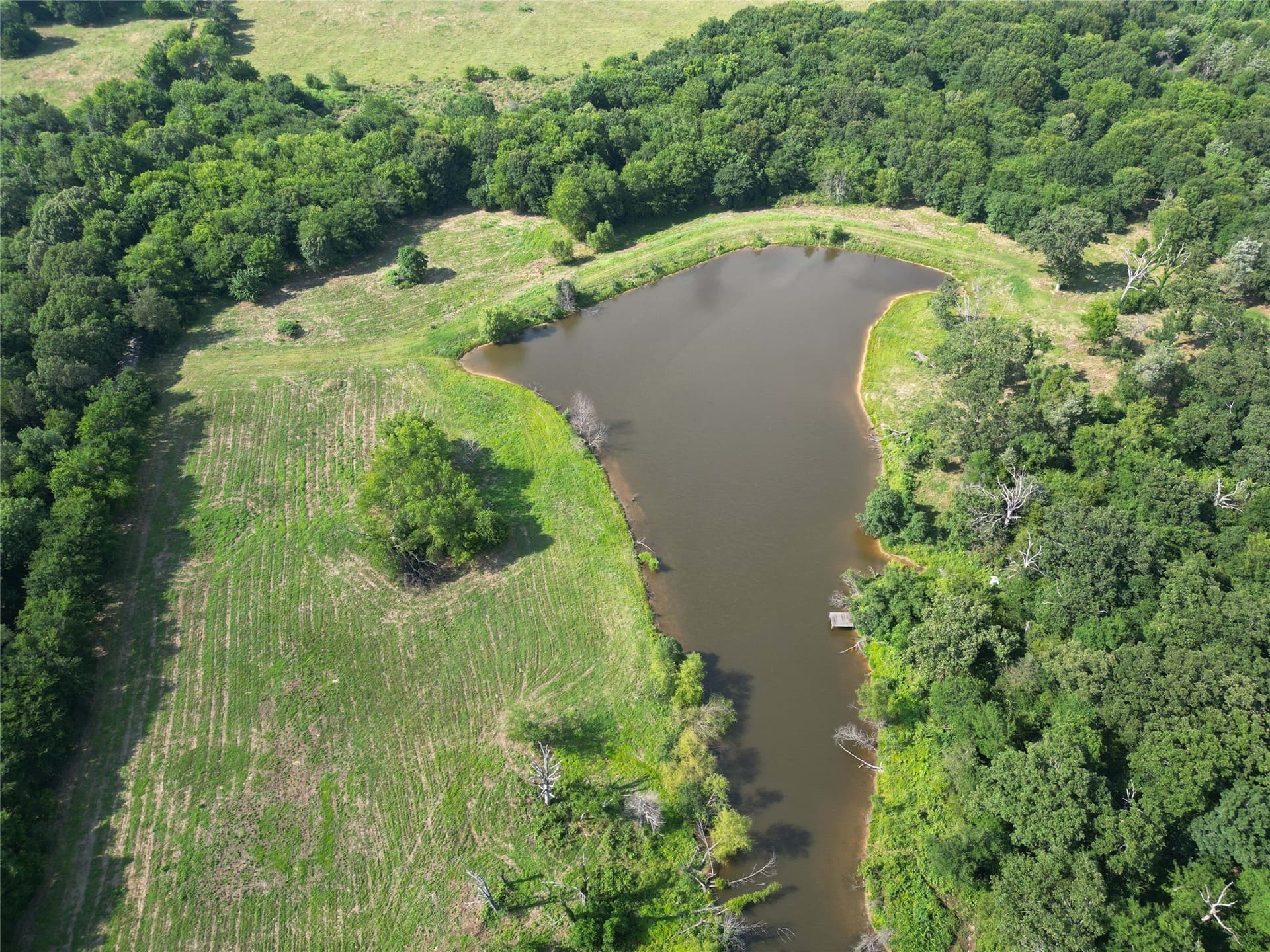 29.3 acres in Hopkins County - photo 10
