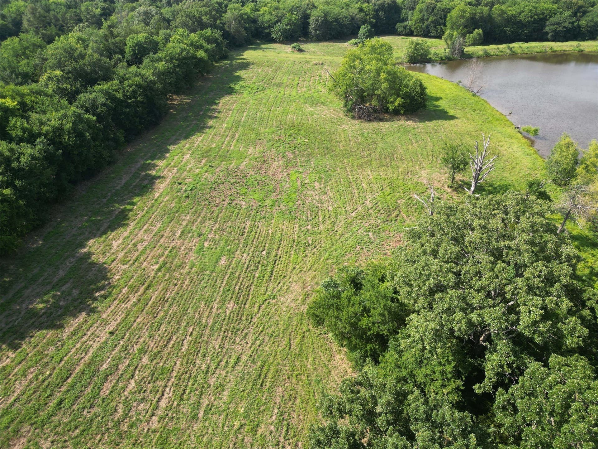 29.3 acres in Hopkins County - photo 12