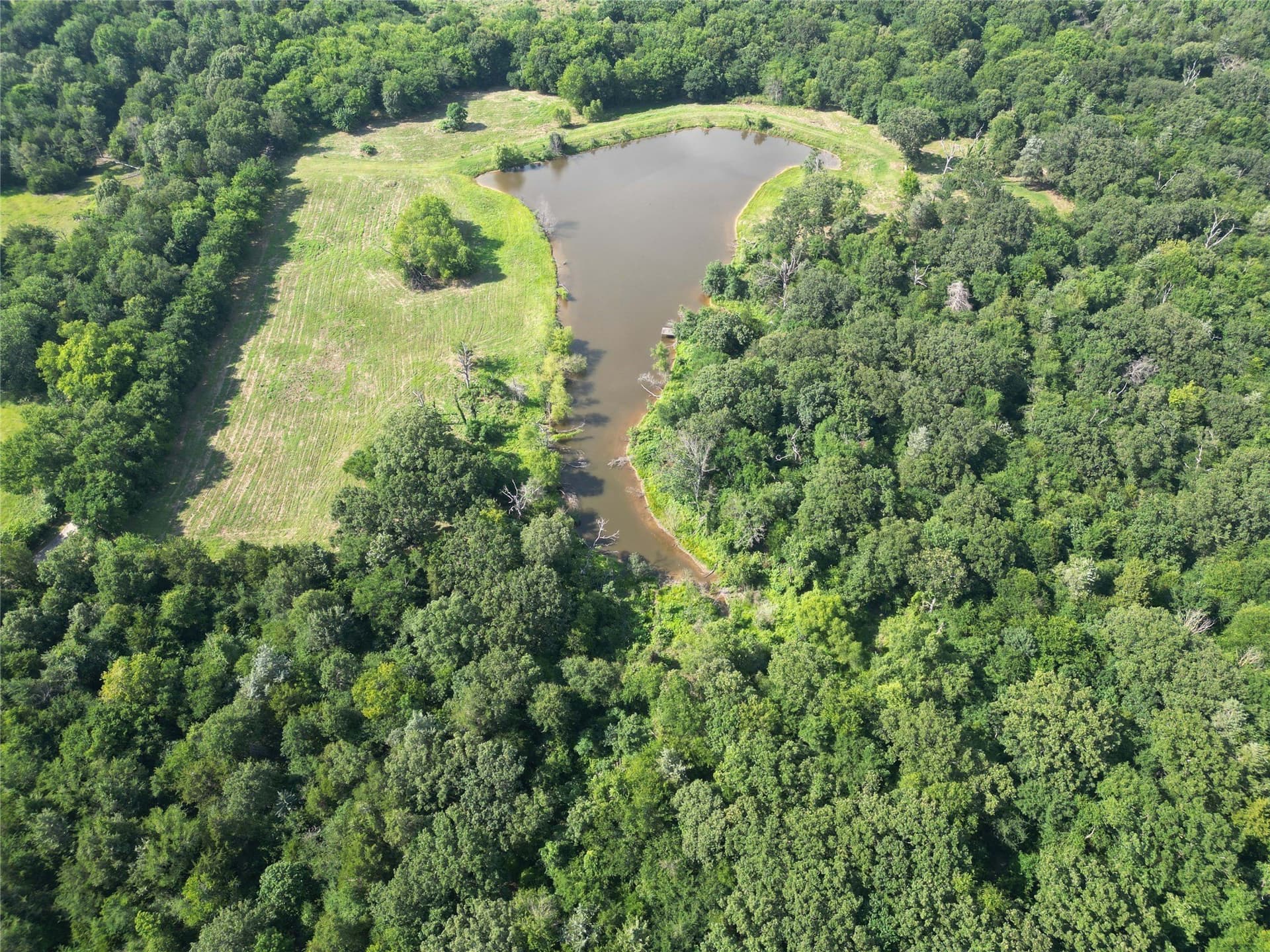 29.3 acres in Hopkins County - photo 8