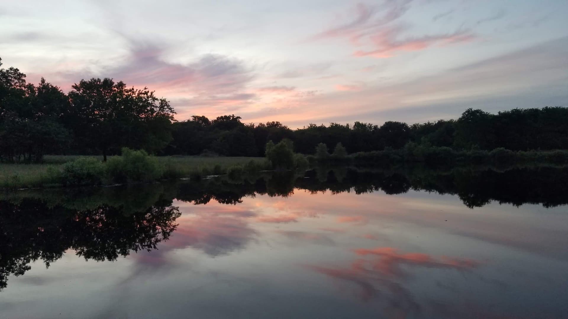 29.3 acres in Hopkins County - photo 4