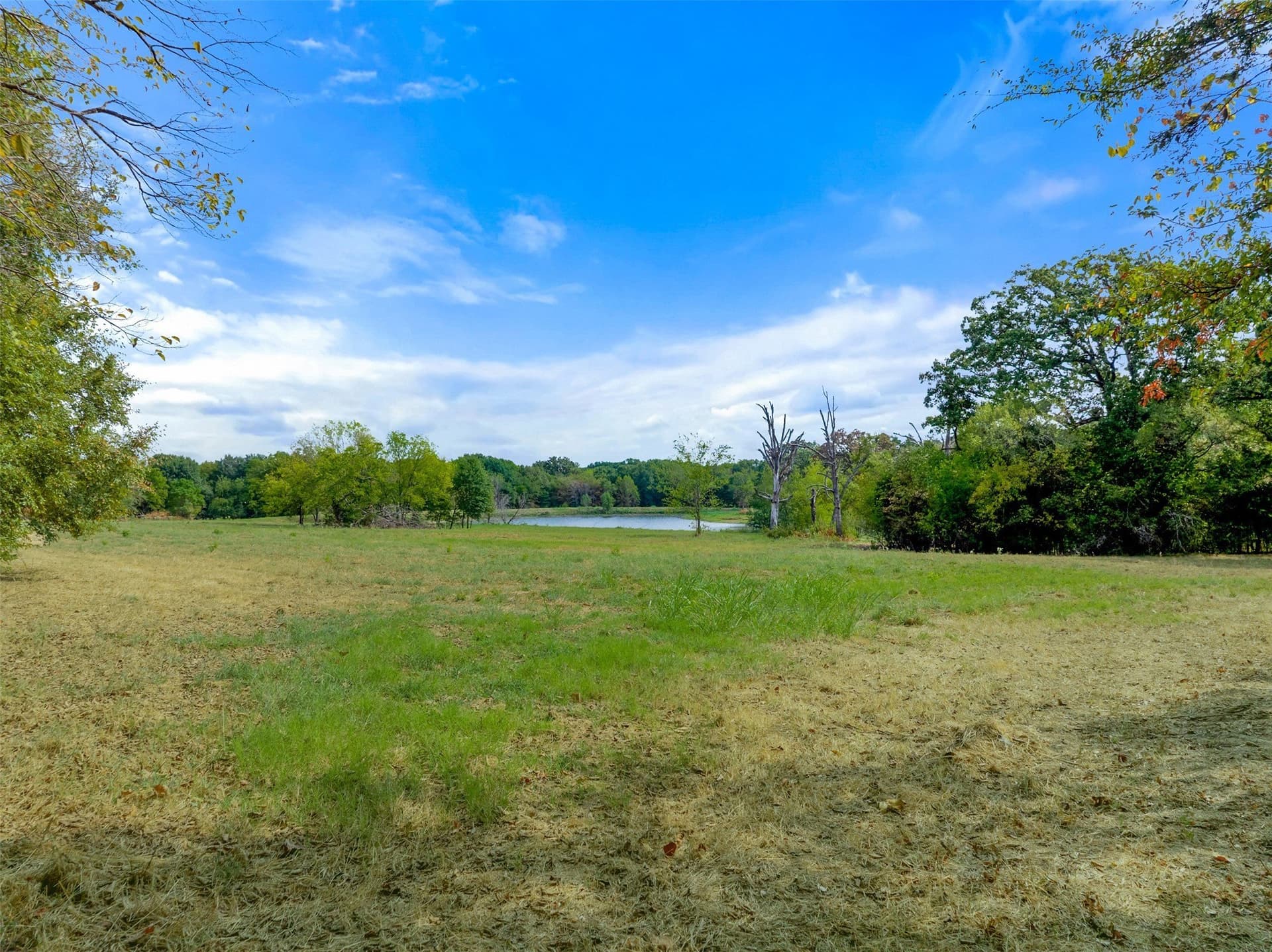 29.3 acres in Hopkins County - photo 4