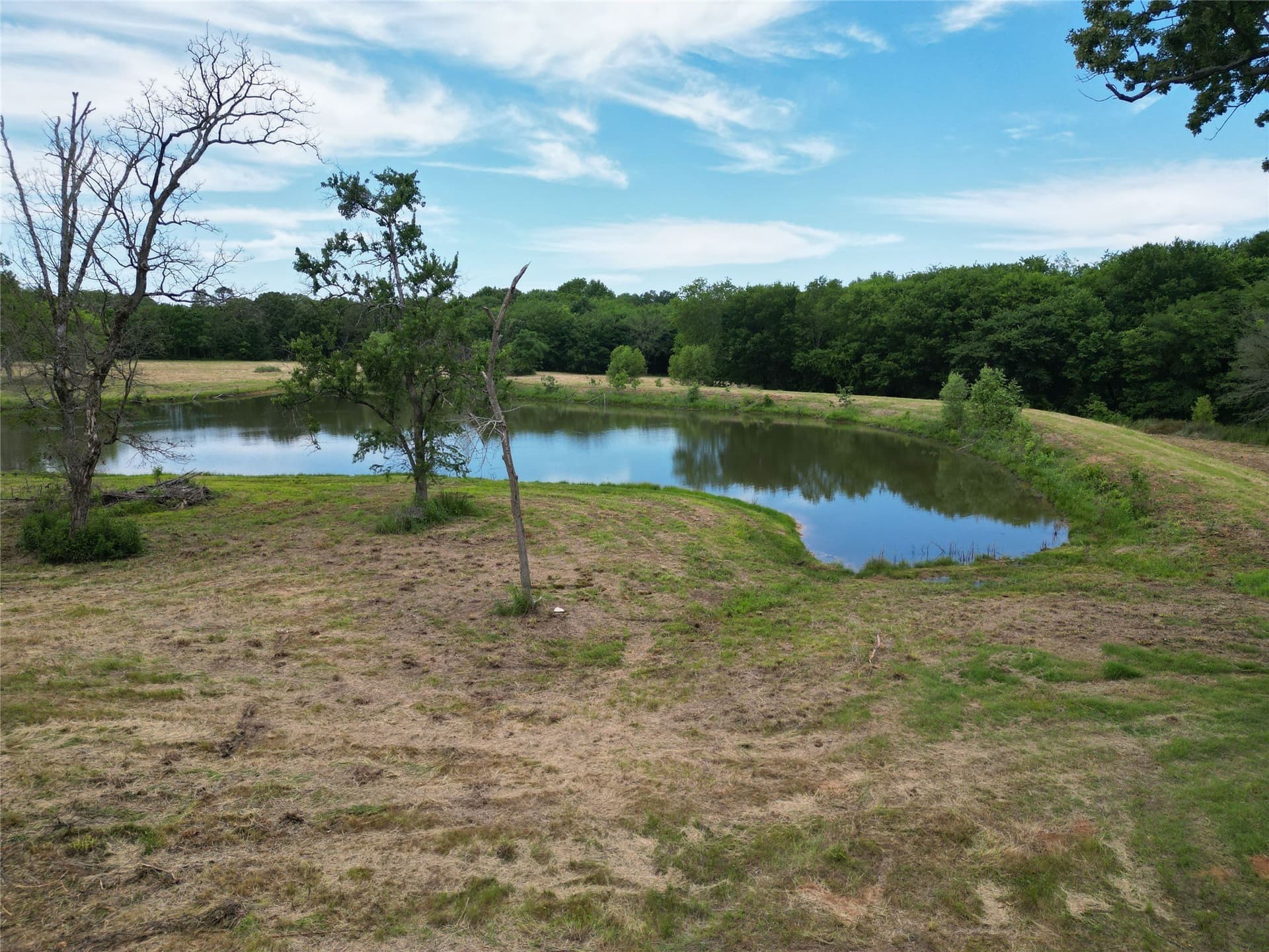 29.3 acres in Hopkins County - photo 17