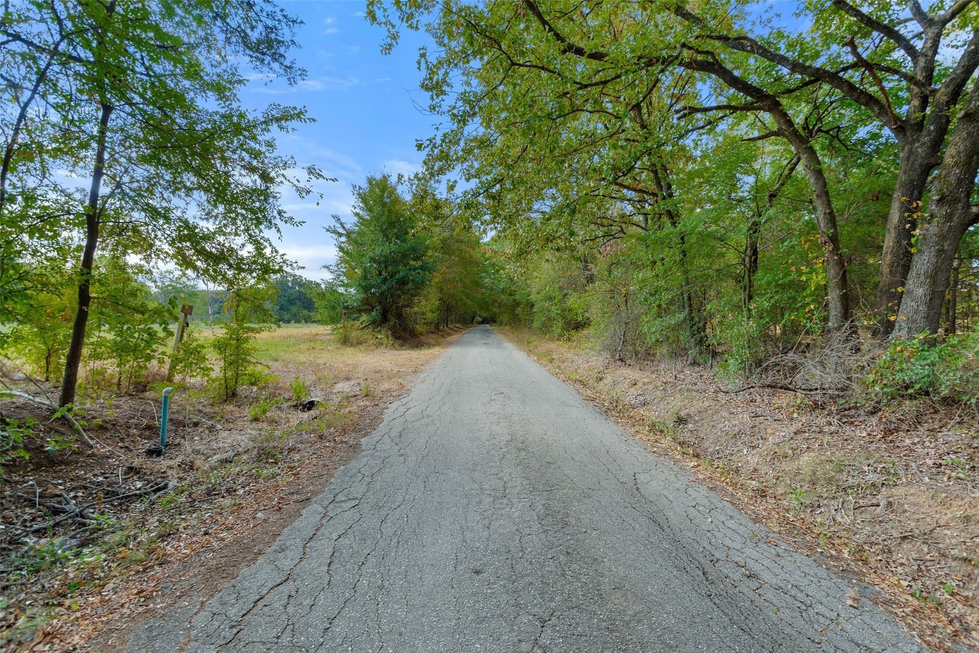 29.3 acres in Hopkins County - photo 19
