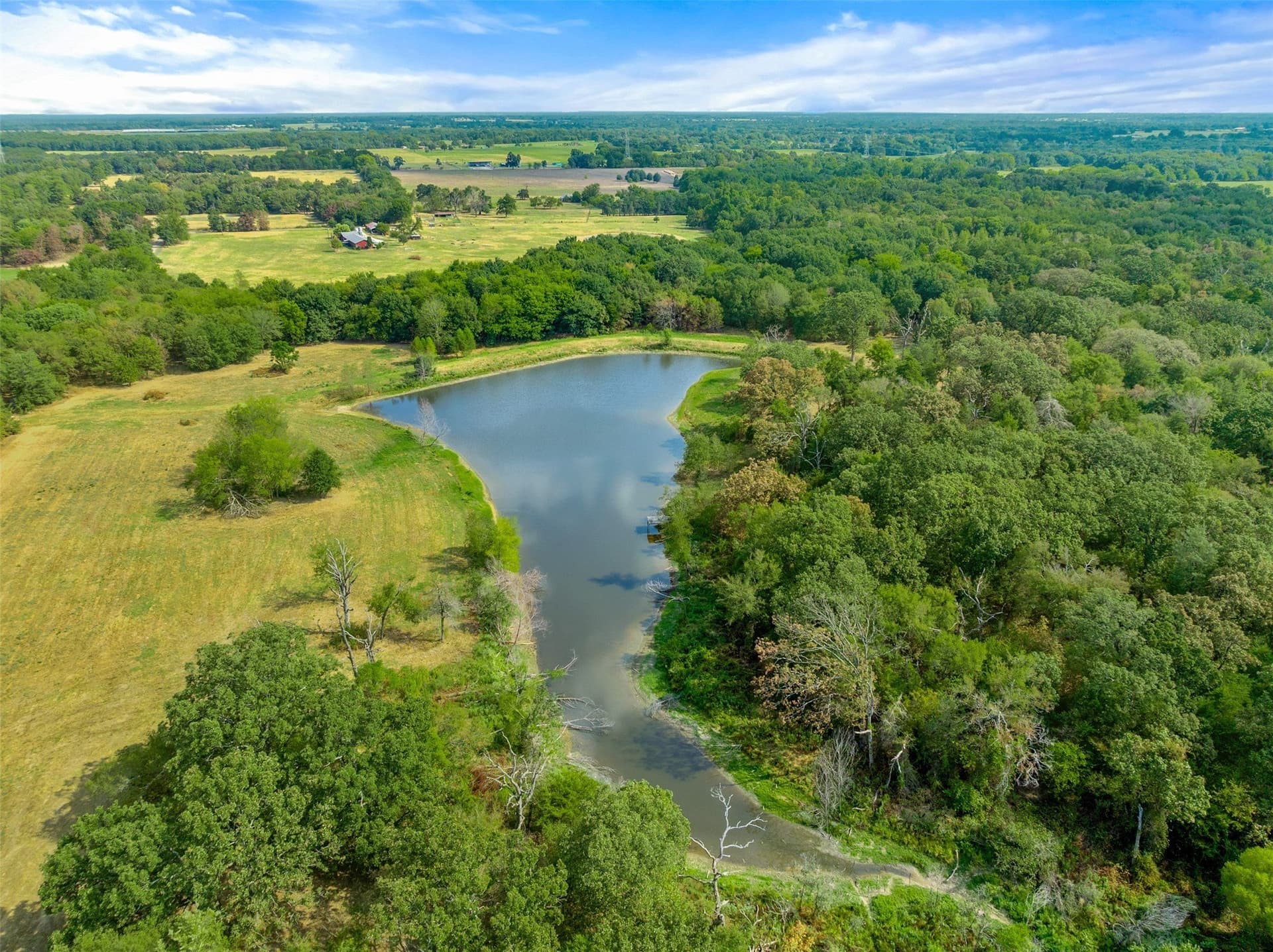 29.3 acres in Hopkins County - photo 7